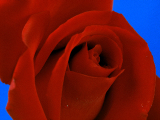 320x240